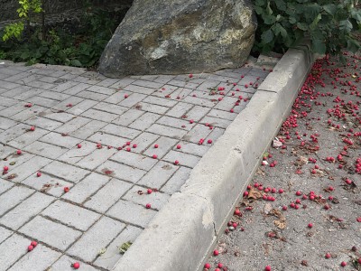 Завод «Гудрок», форма Брусчатка, цвет Серый