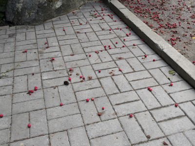 Завод «Гудрок», форма Брусчатка, цвет Серый