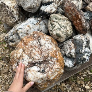Валун "Мозговик"